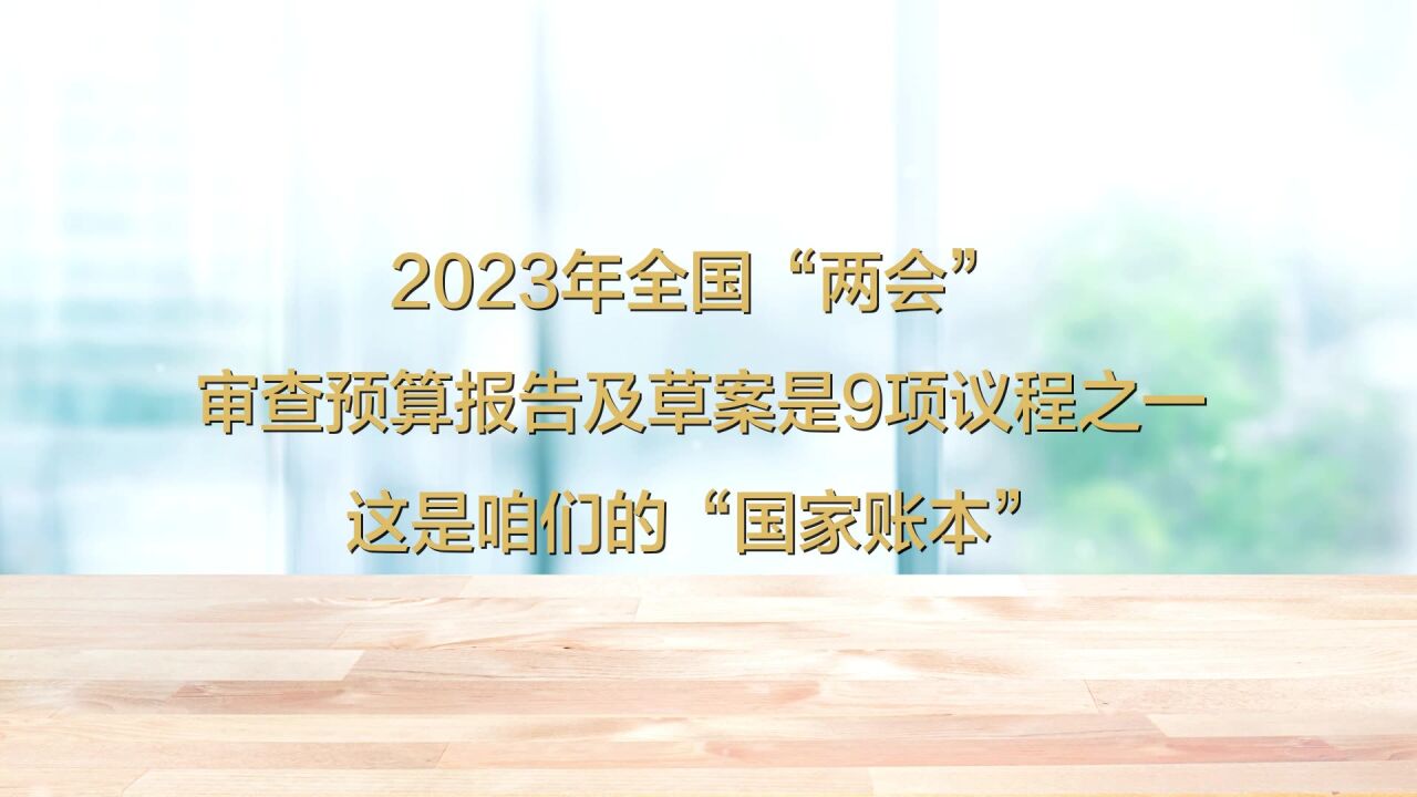 2023年,“国家账本”记录了什么?