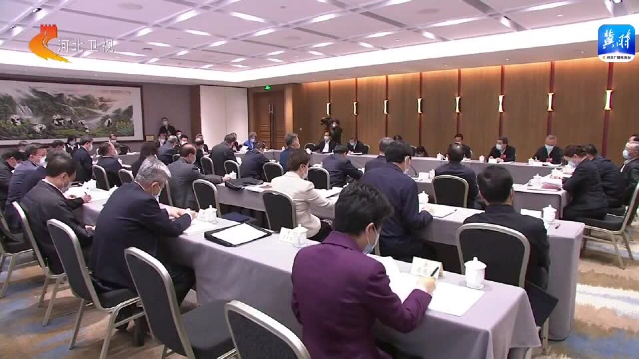 【直通两会】住冀全国政协委员提交提案113件