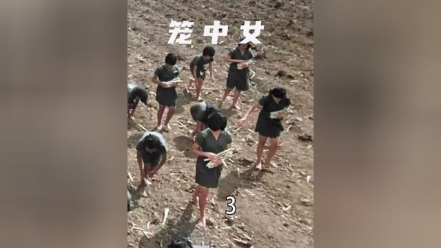 113. 《笼中女》女囚潜入水牢越狱,逃出生天却又进入狼窝