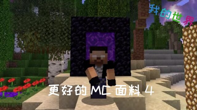 我的世界:更好的MC面料4