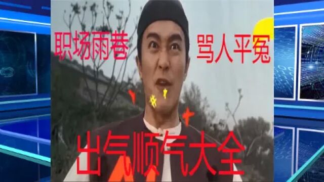 职场雨巷.骂人洗冤,出气顺气大全(二十六).小保公骂二婶