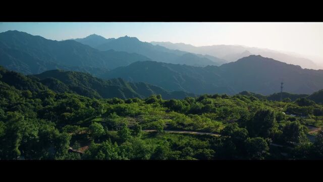 平安中国“三微”比赛,上榜!