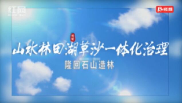 摸着石头造林——隆回一体化治理山水林田湖草沙