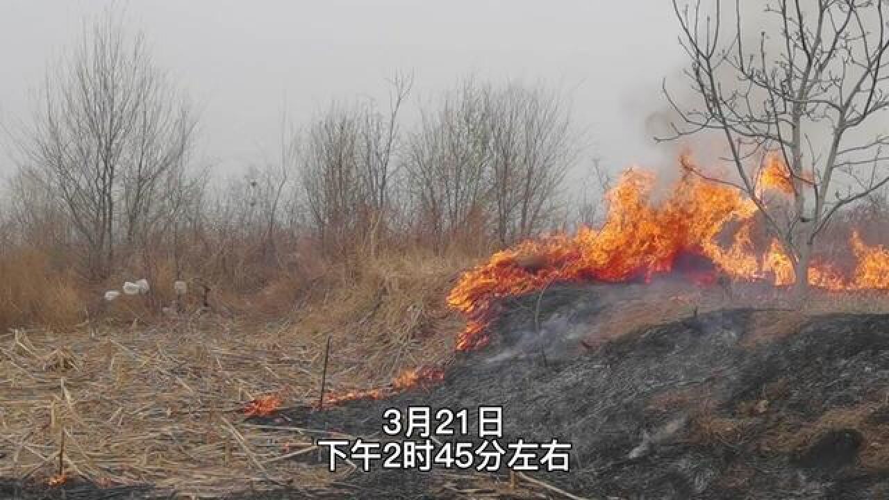 发生火情,武警官兵迅速驰援石家庄,吴栩涵,范睿,田永生