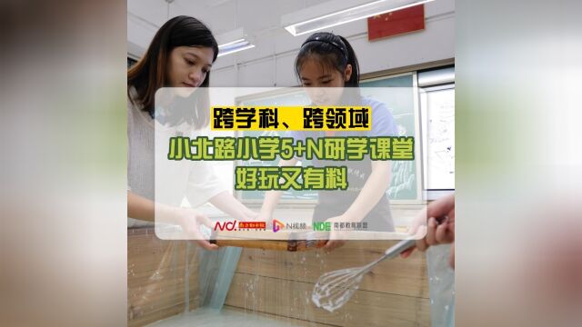 跨学科、跨领域!小北路小学5+N研学课堂好玩又有料