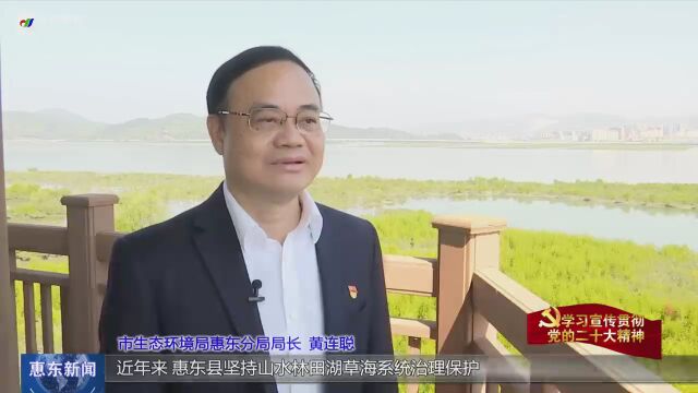 “一把手”访谈|惠州市生态环境局惠东分局:攻坚治理考洲洋污染 绘就美丽海湾画卷