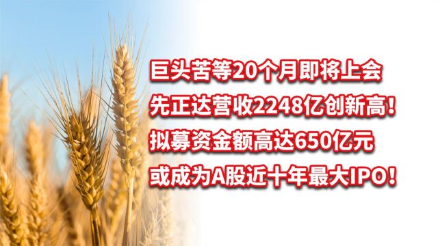 先正达苦等20个月即将上会,营收创新高!或成A股近十年最大IPO!