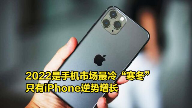 2022是手机市场最冷“寒冬”,只有iPhone逆势增长,独霸高端市场