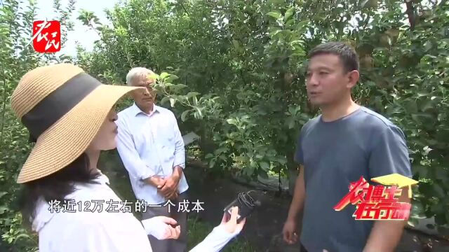 科技助农  园艺地布相比地膜的其他优势 抗旱节水