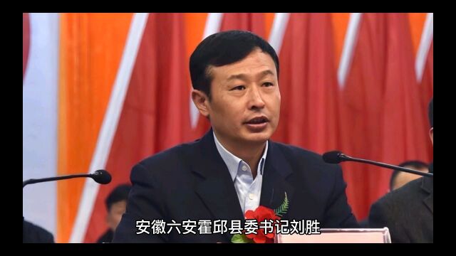 鸳鸯梦碎后悔莫及,霍邱县委原书记刘胜色令智昏,受贿三千万栽了