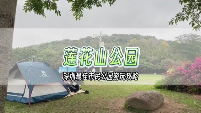 深圳最著名市民公园#莲花山公园 居然这么多隐藏玩法?攻略来了,记得收藏起来!#周末去哪玩 #露营好去处