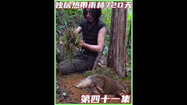 第四十一集丨荒野求生,为生存外出露营狩猎,为生活改造家园遇危险#野外生存 #荒野求生 #野外生活纪录片 #原始技术 #荒野建造