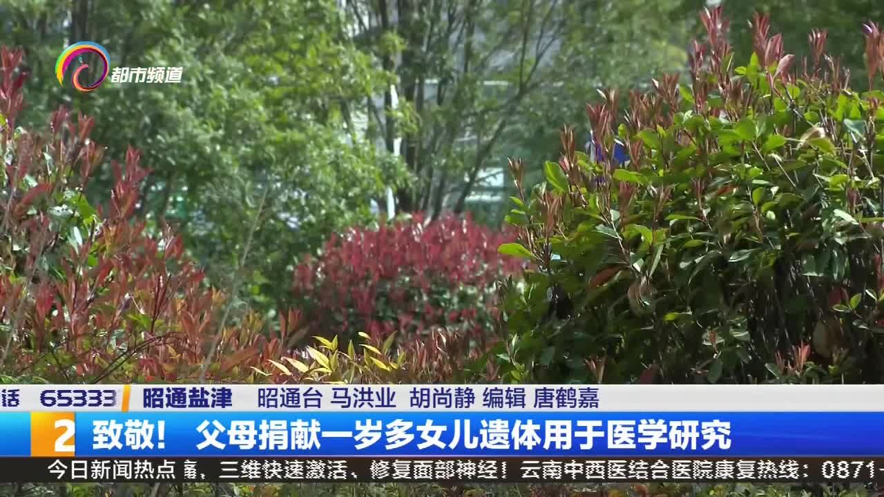 致敬! 父母捐献一岁多女儿遗体用于医学研究