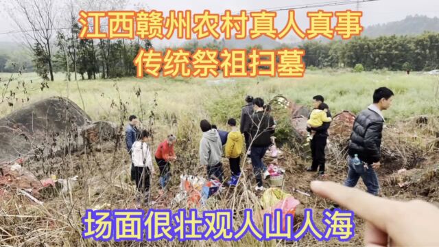 4月1号江西赣州农村真人真事,传统祭祖扫墓,场面很壮观人山人海