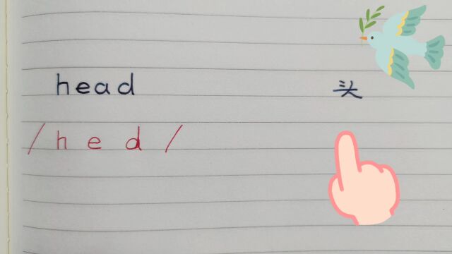 学单词head