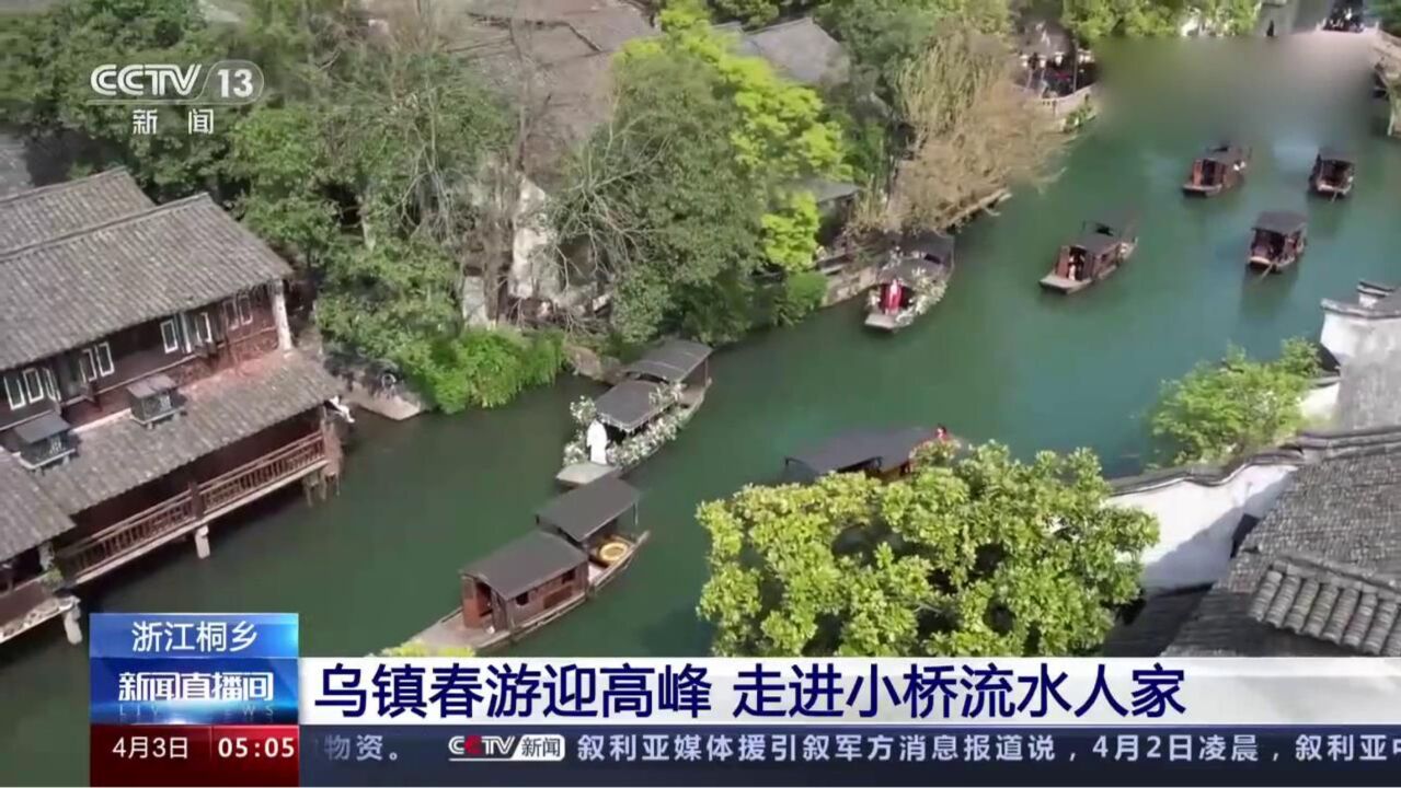 浙江桐乡:乌镇春游迎高峰,走进小桥流水人家