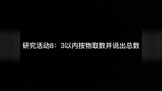 小班幼儿计数与数概念的能力形成和发展策略研究活动8