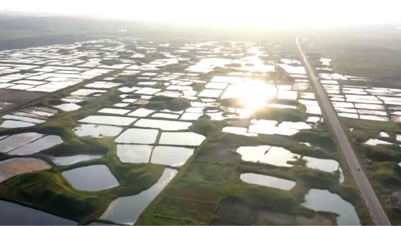 随着时代的发展,卤阳湖当地政府实施了水系生态修复项目,土地盐碱现象得到有效改善