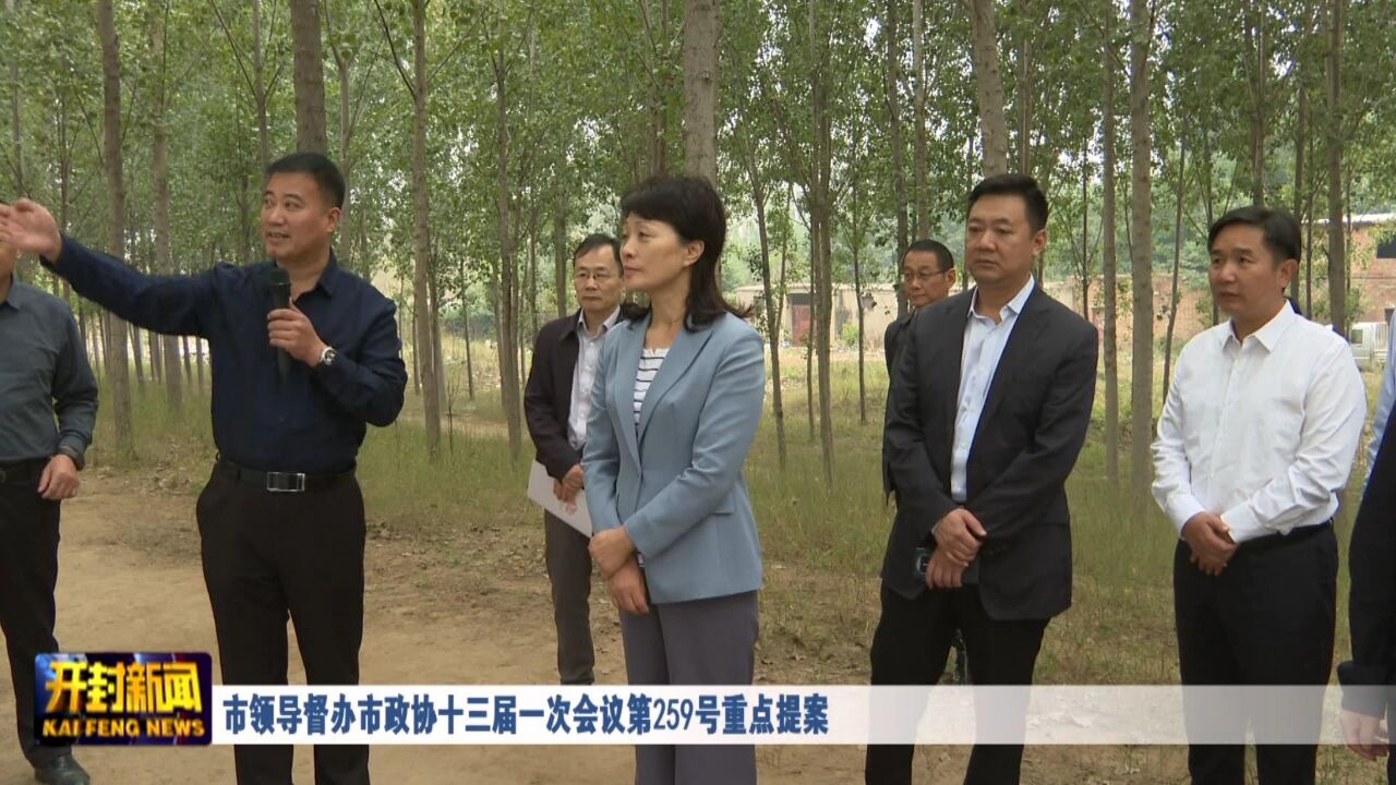 市领导督办市政协十三届一次会议第259号重点提案