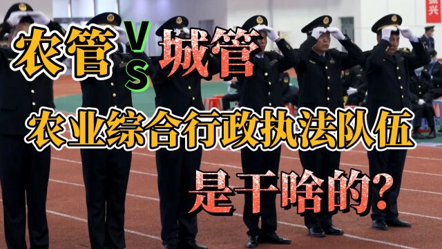 热议丨“农管”PK“城管”!农业综合行政执法队伍到底是干啥的?