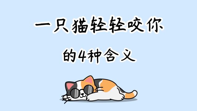 一只猫“轻轻咬你”,有这4种含义,别误会它了!