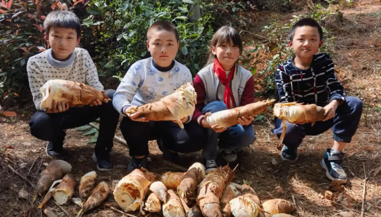 学校后头就有山 开化县这群学生四月农事忙