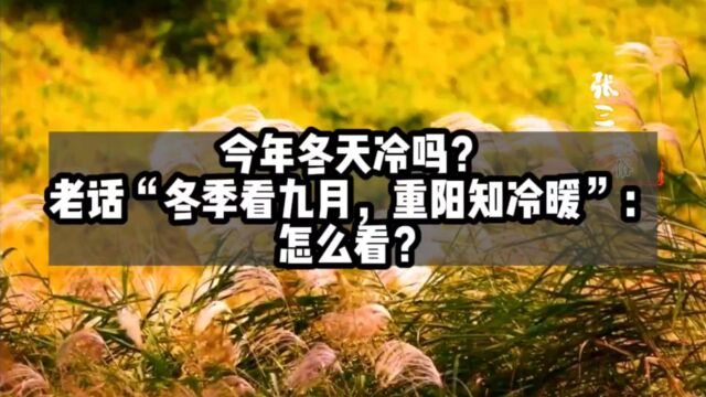 今天冬天冷吗?老话“冬季看九月,重阳知冷暖”:怎么看?