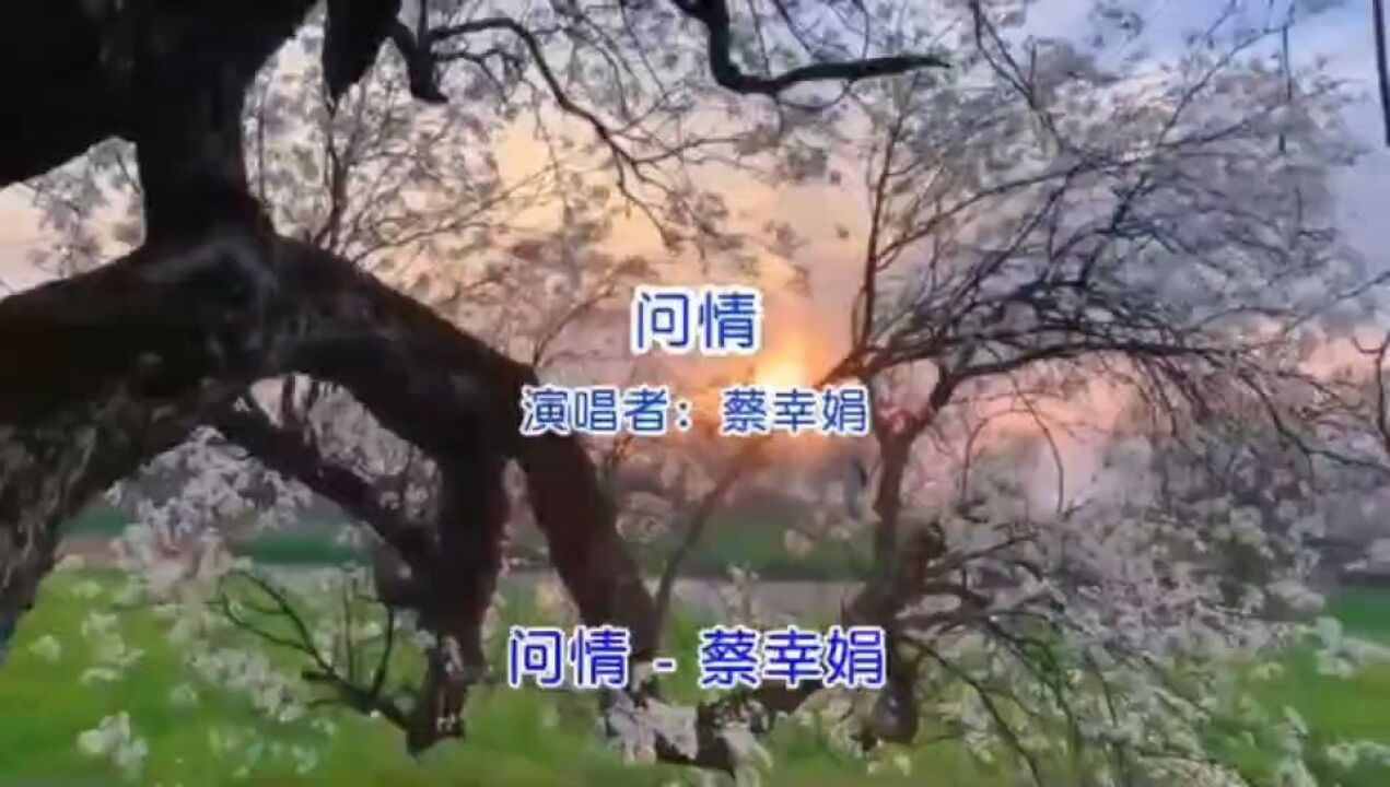 蔡幸娟《问情》K歌版,缠绵的旋律,美好的回忆