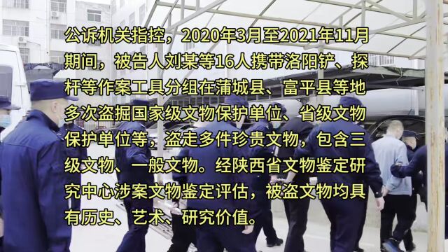 蒲城:16人团伙盗墓案....