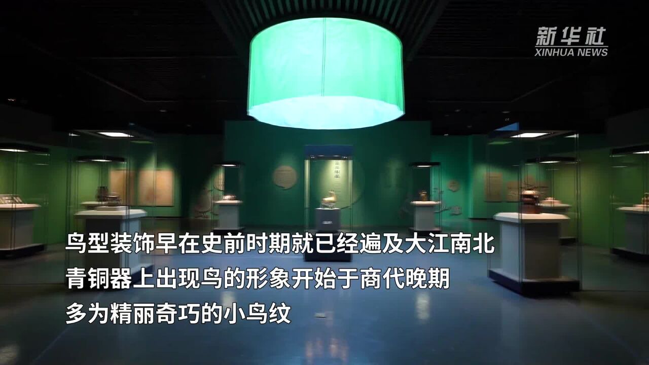 晋侯鸟尊的凤鸟原型是一种什么鸟