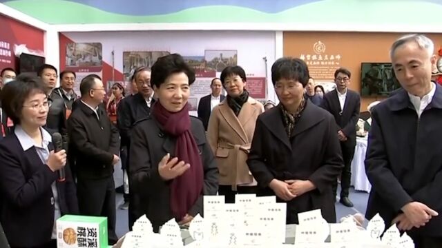 谌贻琴在宁夏出席全国劳务协作暨劳务品牌发展大会