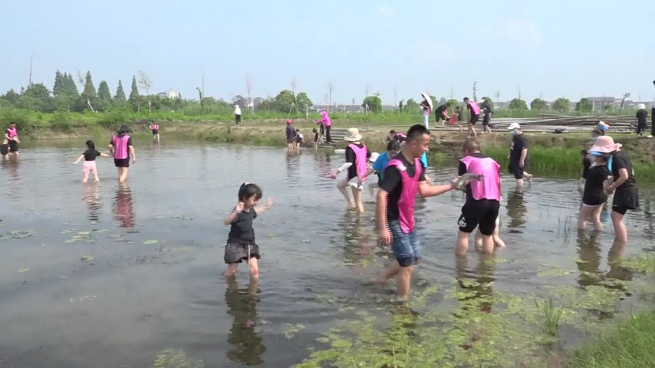 津市青苗社区:打造研学基地 助力乡村振兴