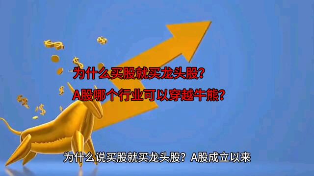 为什么买股就买龙头股?哪个行业可以穿越牛熊?