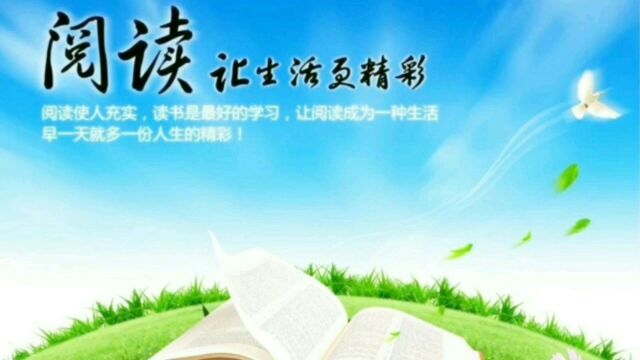 每天带你读一本书 今天读亲密关系与情感依赖