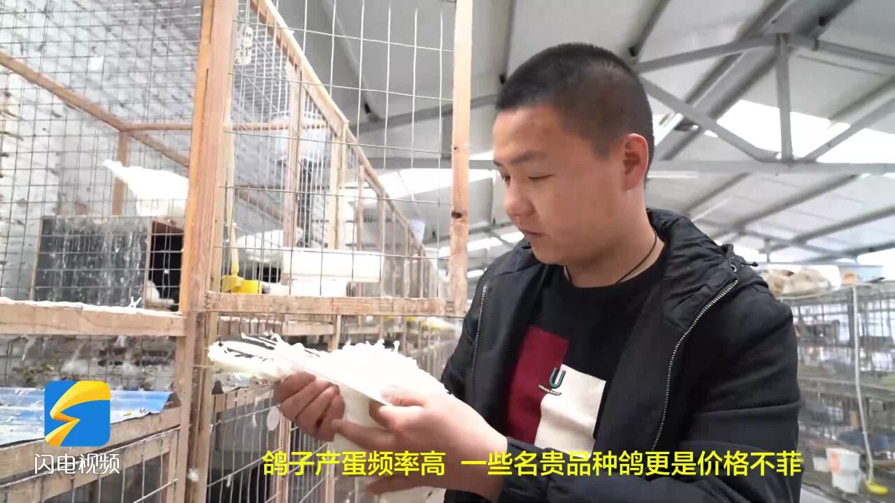 菏泽牡丹区:发展特色养殖产业 助力农民增收致富