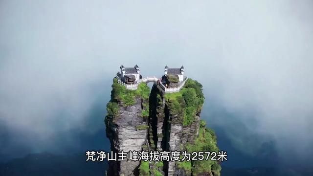 梵净山主峰海拔高度为2572米,是中国贵州省境内的一座著名山峰和旅游景区.