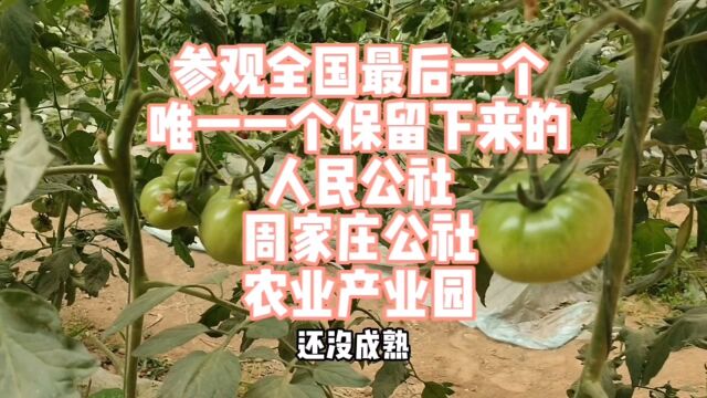 参观全国最后一个,也是唯一一个人民公社周家庄公社的农业产业园