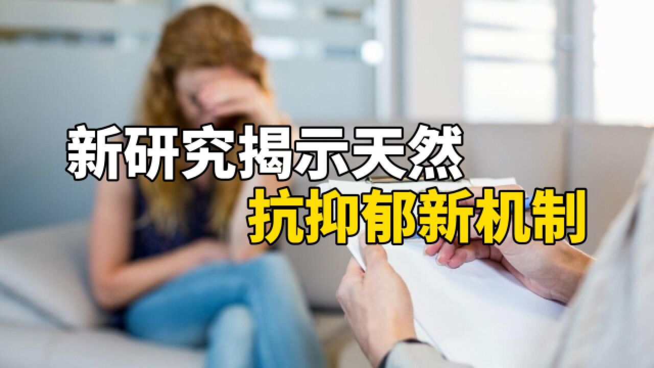 新研究揭示天然抗抑郁新机制