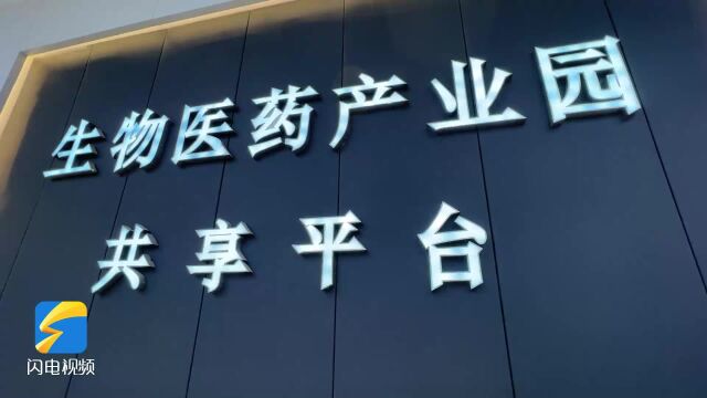 走黄河廊道 看高质量发展|U盘给到就能生产!在鄄城感受“共享智造”