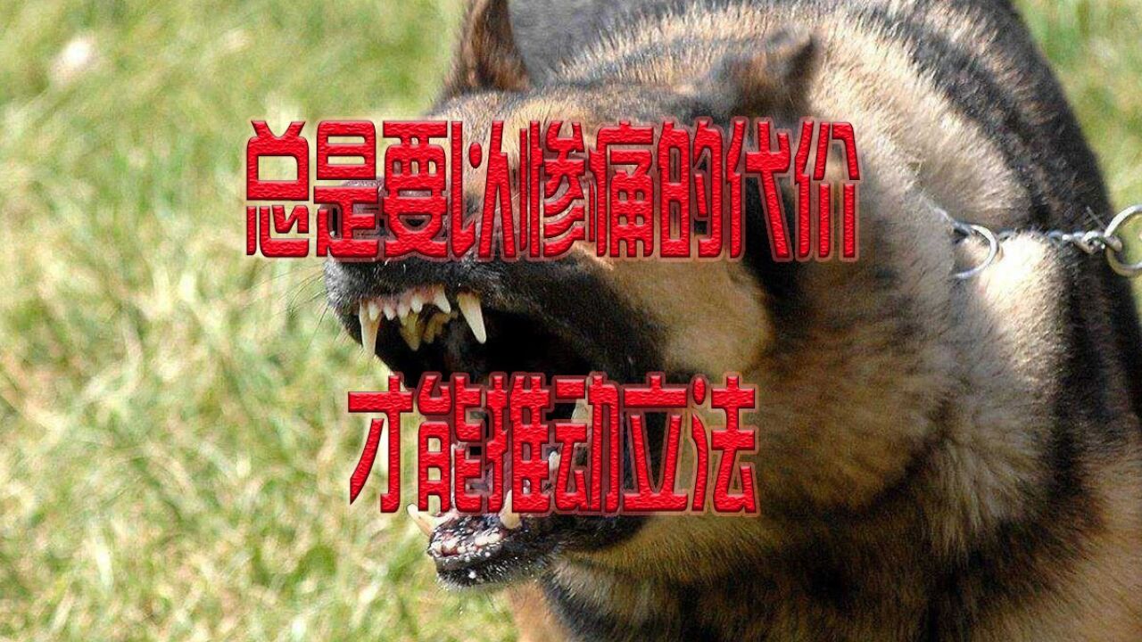 四川恶犬伤人事件,必将是宠物管理的转折点