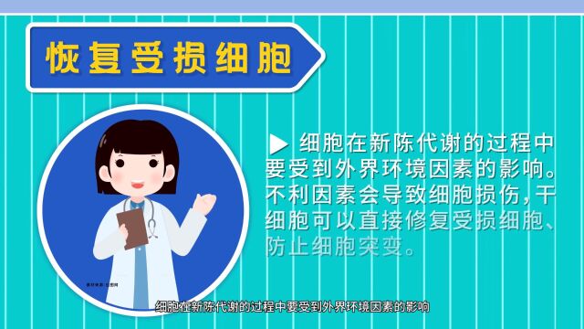 一分钟解密干细胞的作用机理:想深入了解的朋友们,一定要认真看完