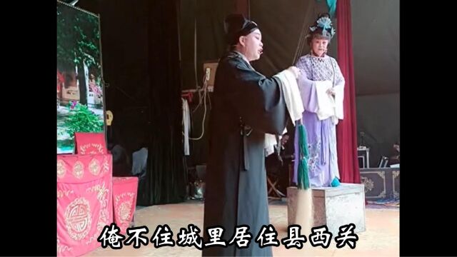 豫东调《站花墙》高玉英、李春玲,有鹅