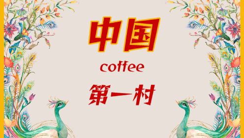 中国咖啡第一村：大理朱苦拉村