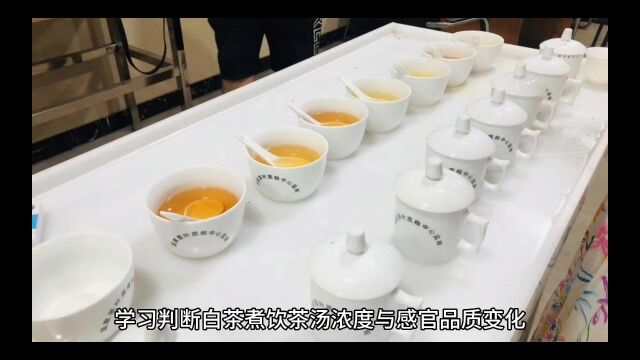 茶来藏团队根据数据实验分析白茶煮饮茶汤浓度与感官品质的变化