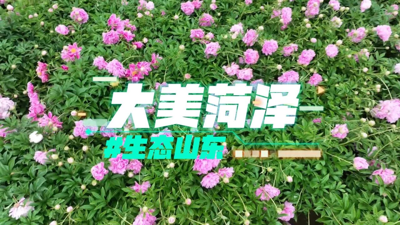 生态山东|蓝天白云,清水绿岸!67秒看菏泽绘就的生态答卷