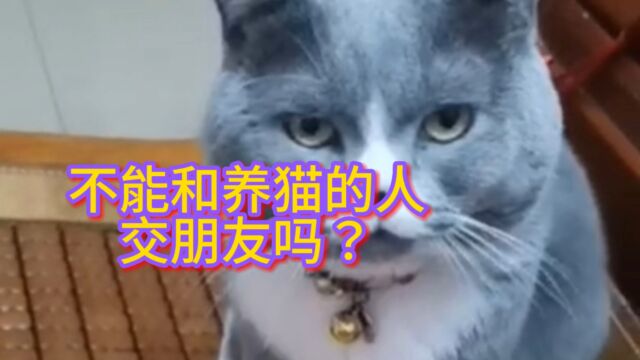 千万不能和养猫人交朋友,是真的吗