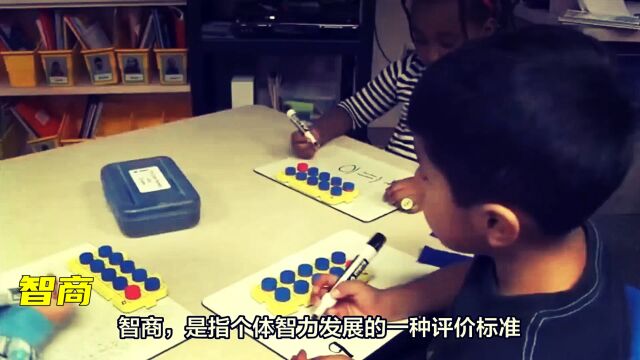 智商真的分三六九等?普通孩子怎样提高智商?你家孩子怎样?