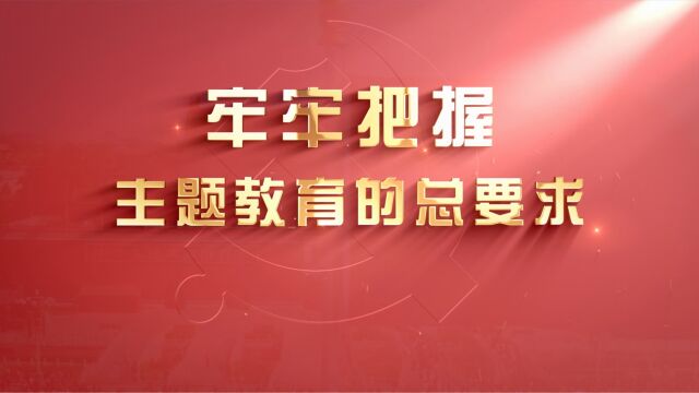 牢牢把握主题教育的总要求