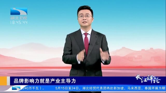 品牌影响力就是产业主导力