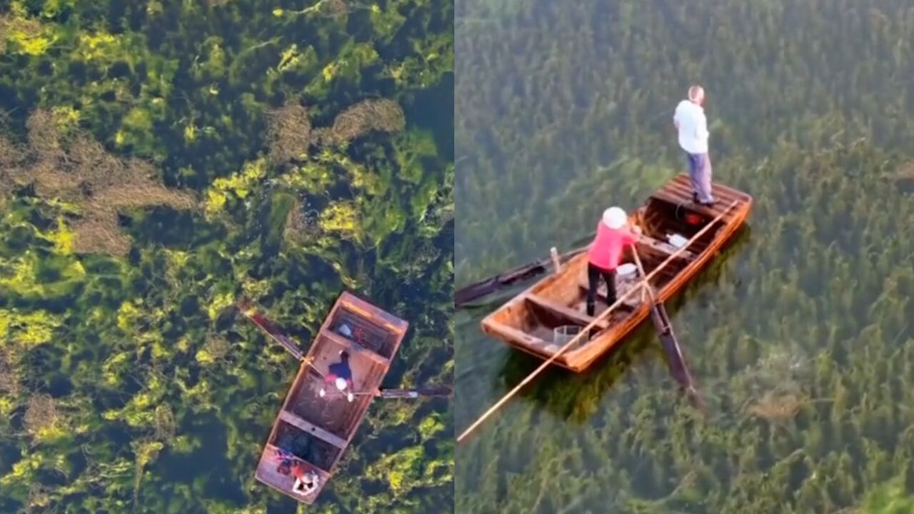 自带仙气!微山湖清澈见底,泛舟湖上仿佛是在御剑飞行